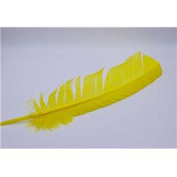 Yellow Turkey Feathers - 12 in. - Set of 10 - Ideal for Smudging and Crafting
