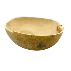 VJICARA 4 in. Jicara Calabash Cup
