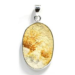 KP0306 Russian Dendritic Agate Pendant