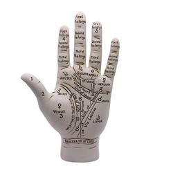 RP3269 9.5 in. Palmistry Hand