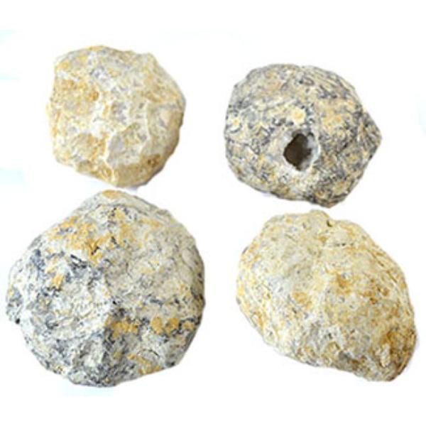 GGEOC 3-4 in. Crackable Geode
