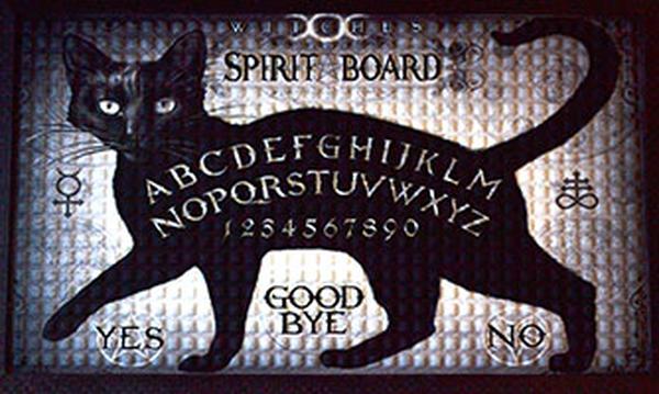 FDM3409 17.62 x 19.5 in. Cat Spirit Doormat