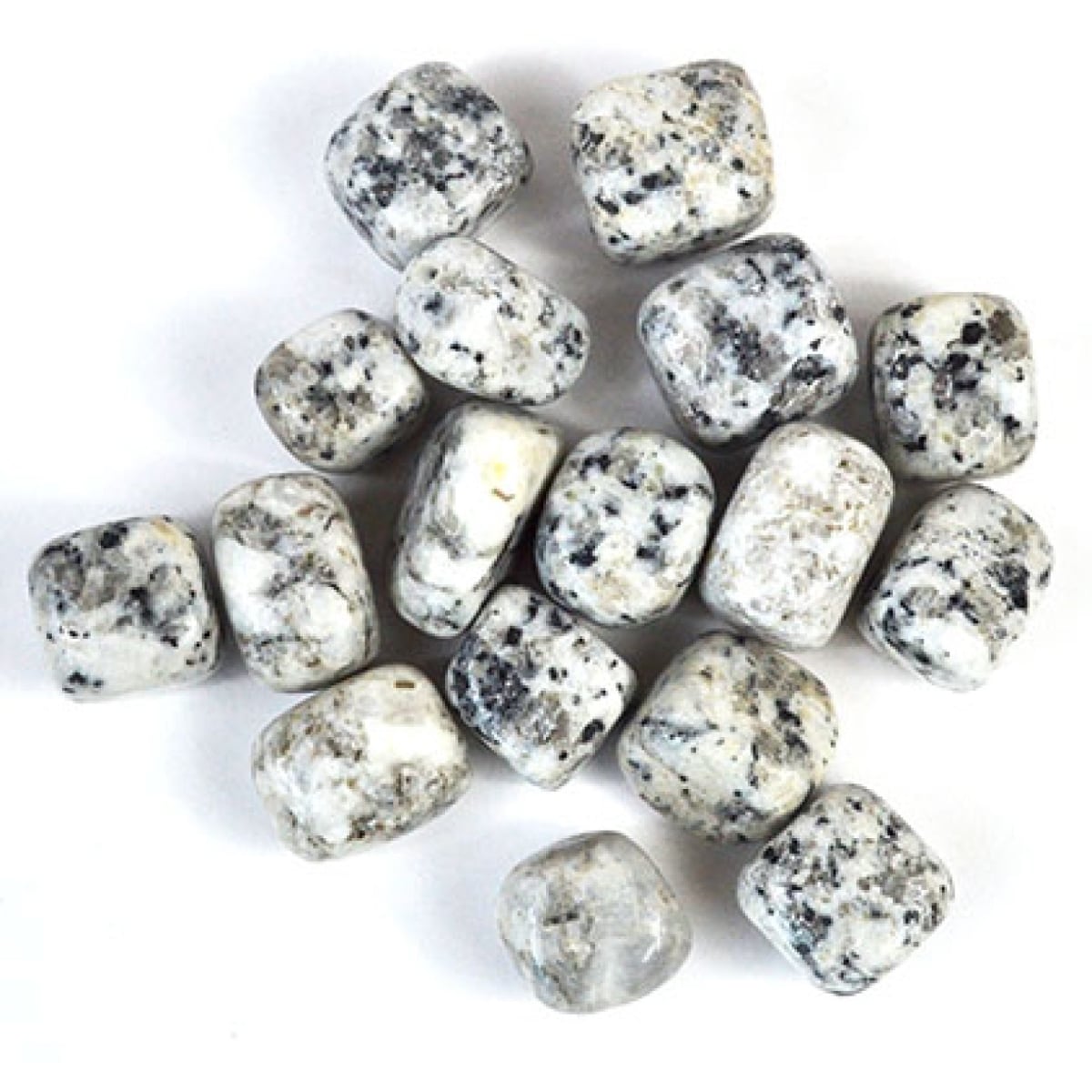 GTDALJB 1 lbs Jasper Dalmation Tumbled Stones