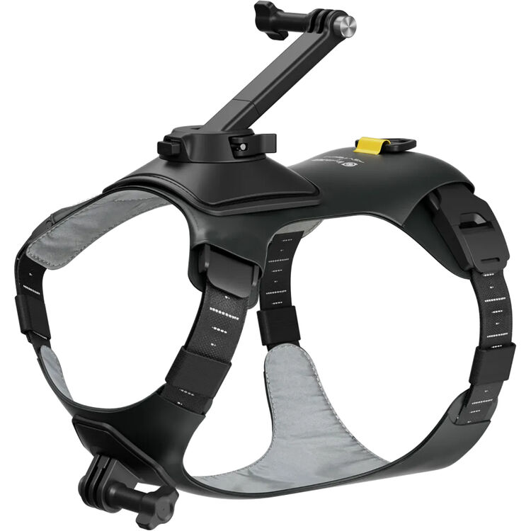 CINSBAVX-01 Pet Harness Mount, Black - Small