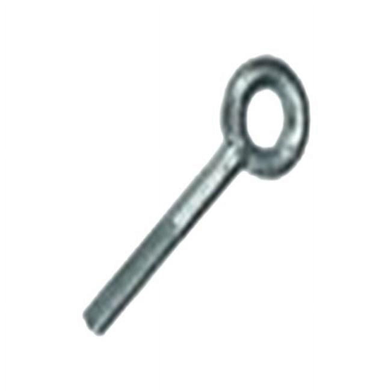 Stainless Steel Eye Bolt