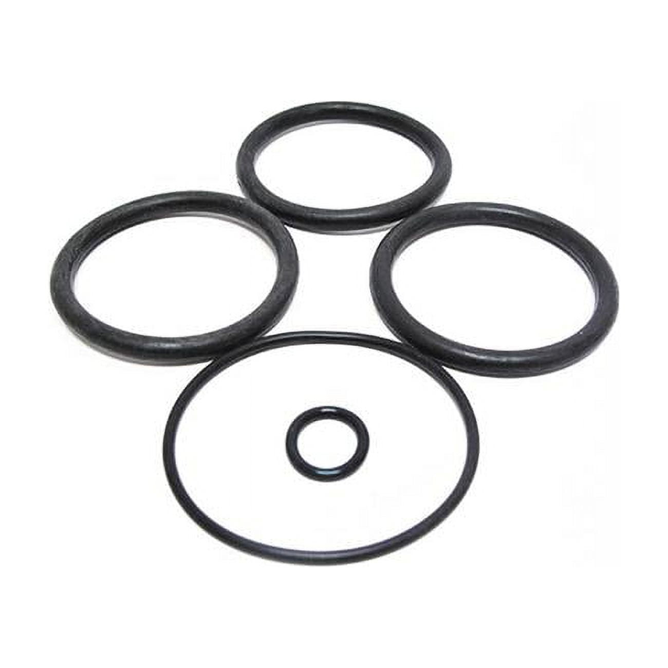 2 in. Plastic Anthony Piston O-Ring Set