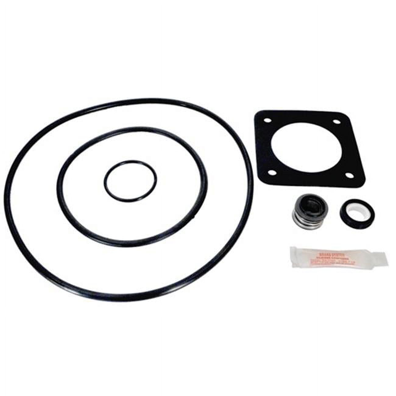 Pump Repair Kit with Premium Seal for Sta-Rite Dura-Glas & Maxi-Glas