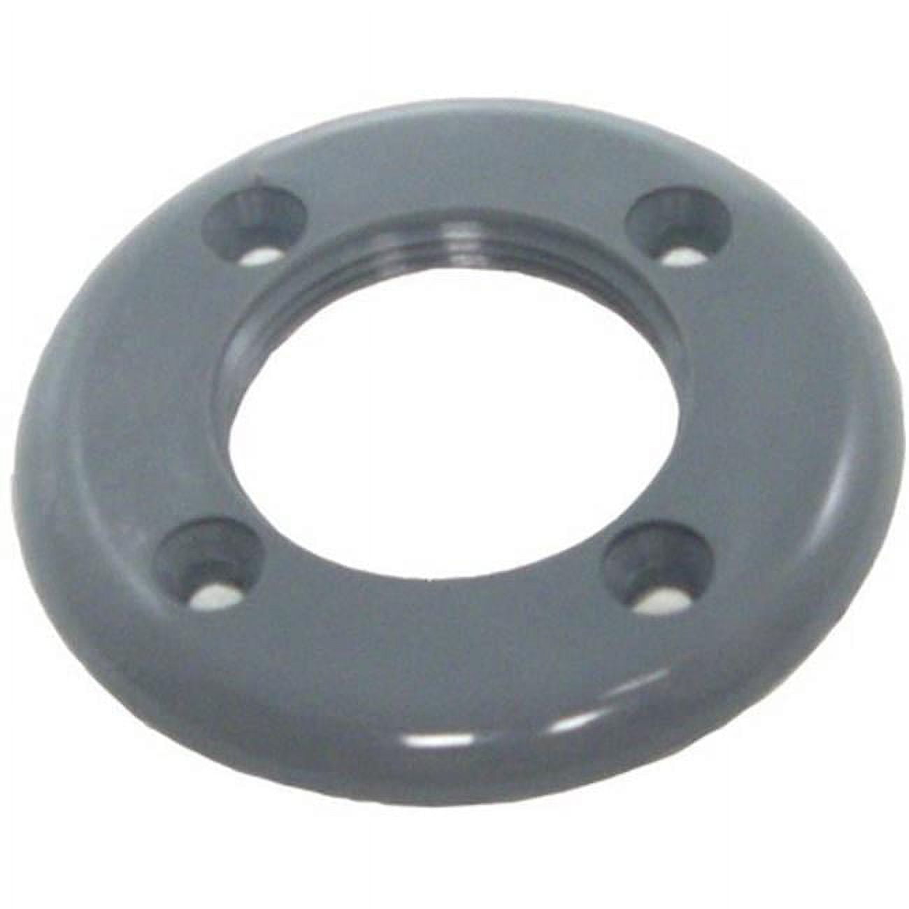 CMP25546001000 Threaded Vinyl Pool Face Plate, Gray