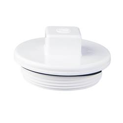 CMP25525000000 2 in. Plug with Oring 2 in. Mip