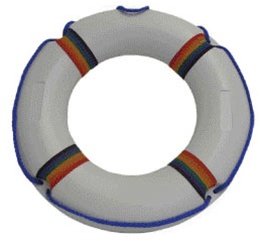 JED90820 24 in. Pool Rings