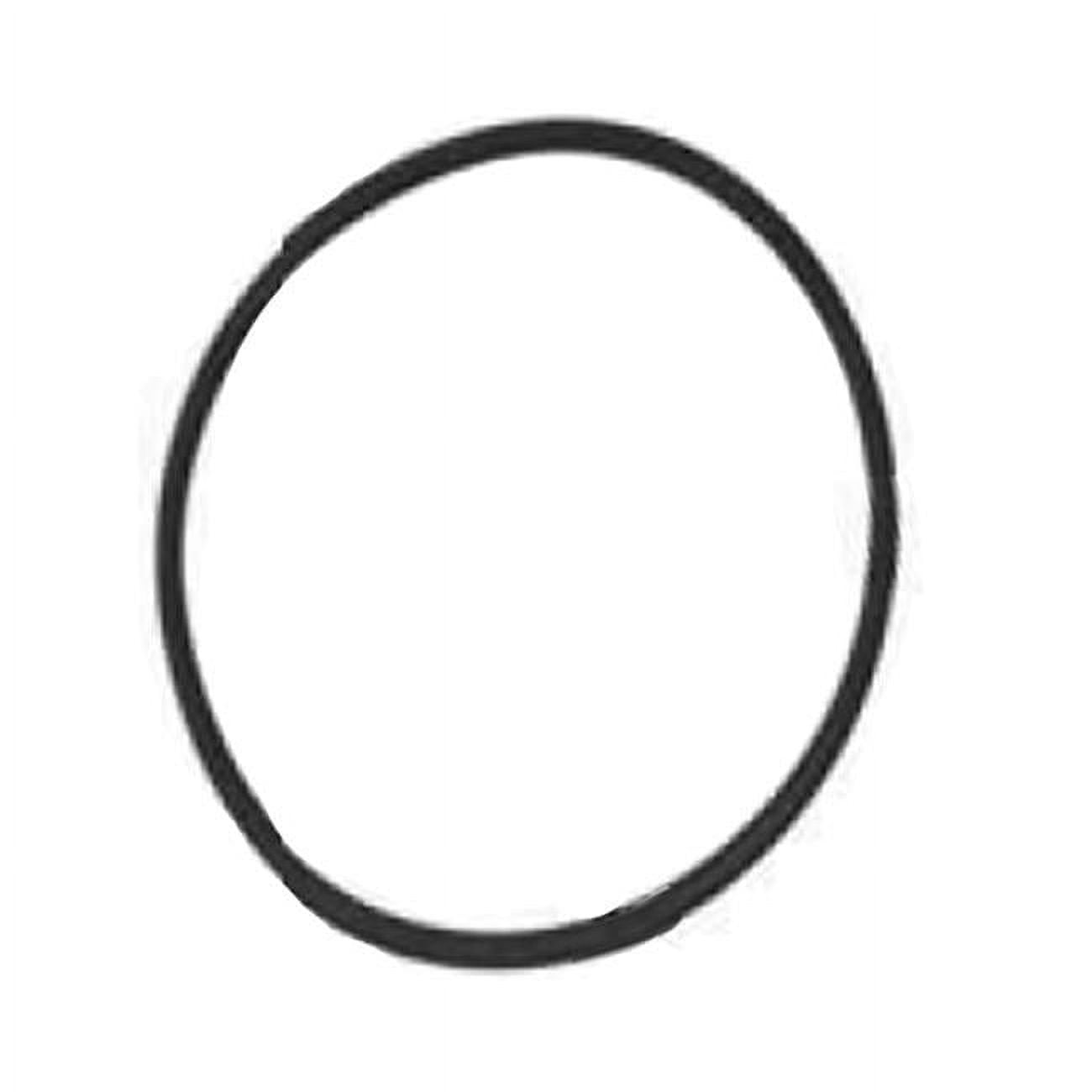 Chlorine Feeder O-Ring