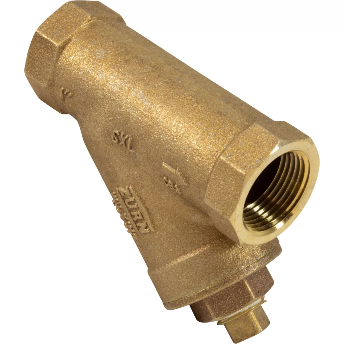 Zodiac Pool Care LEVBRY 1 in. Jandy Pro Series Y Strainer