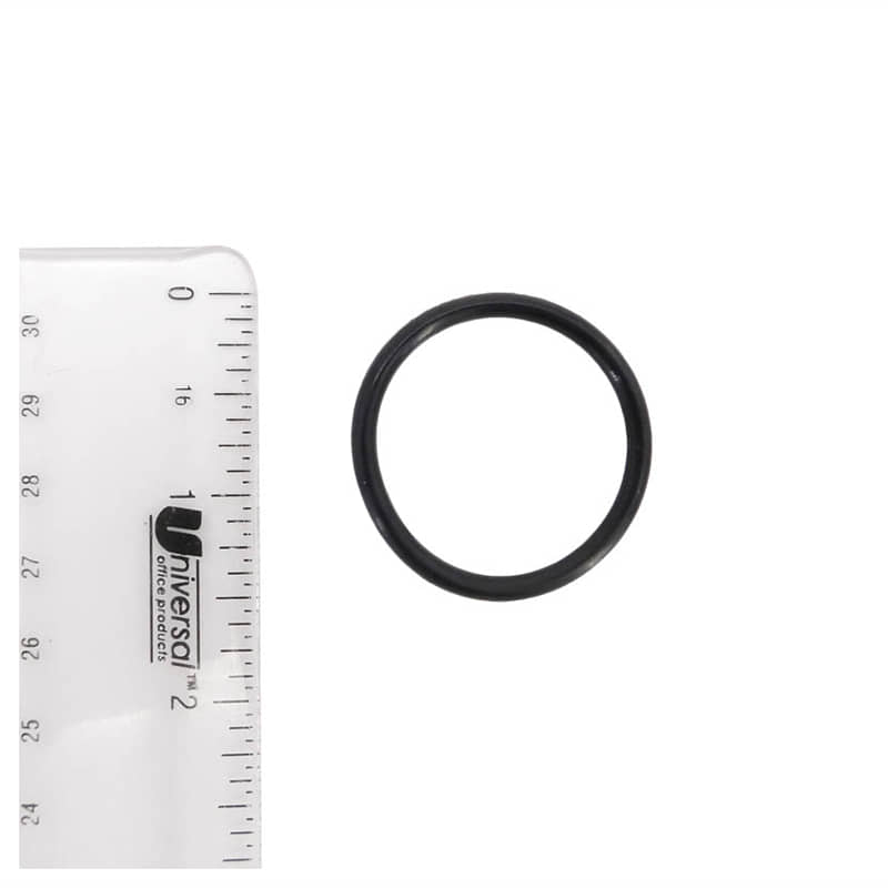 94132800008R Small O Ring for Pool