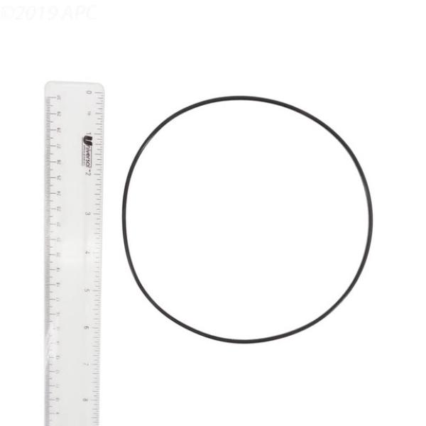 WW8050164B No.164 EX2 Volute O-Ring for Pool