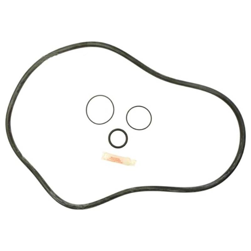 APCK1168 Pentair FNS Plus Poly Filter O-Ring Repair Kit