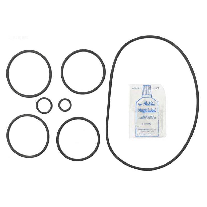 APCK1157 Paca 2000 Series Backwash Valve O-Ring Kit - APCOKIT462