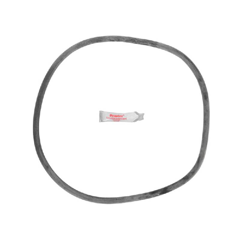 APCK1146 Starite SEP Tank O-Ring Kit - APCOKIT372