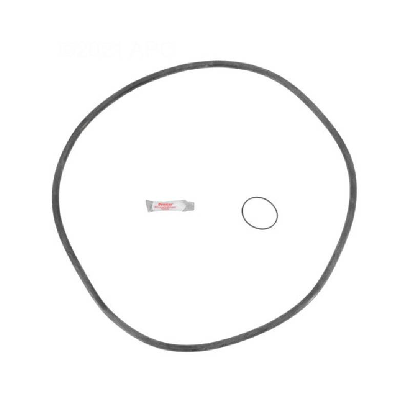 APCK1170 Concord Pools FNS Plus Filter Repair Kit