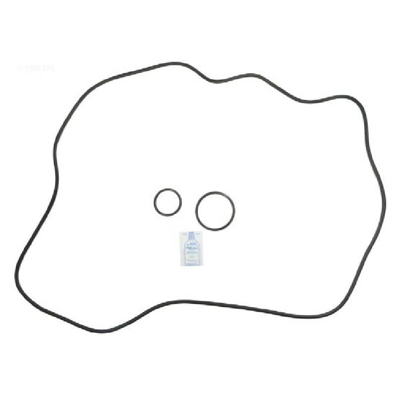 APCK1160 Starite DEP83 O-Ring Kit - APCOKIT472