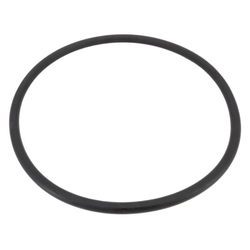 APCO2116 O-289 28828689 Swimrite O-Ring - APCO289