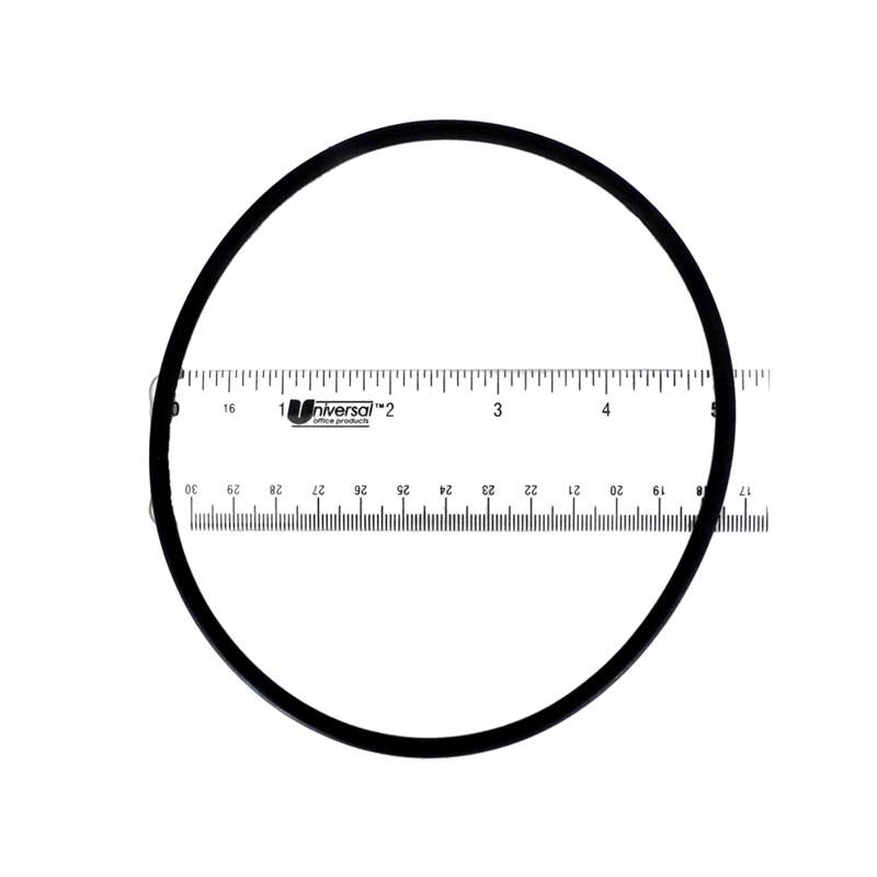 AST4408010206 Union Set for Inline Chlorinator for Pool