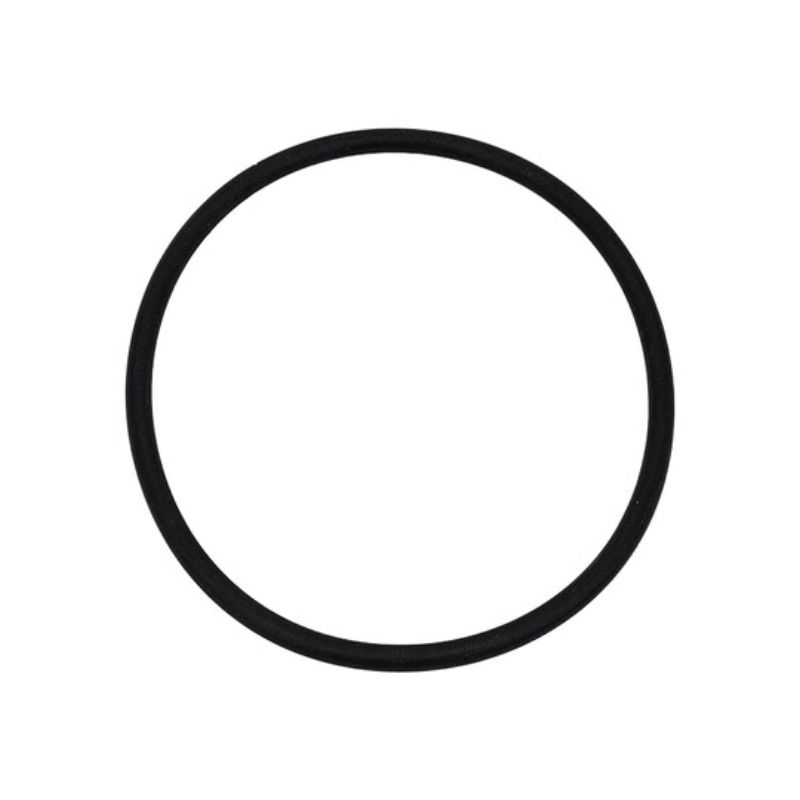 4402246 4 in. Body O-Ring Delta Nut