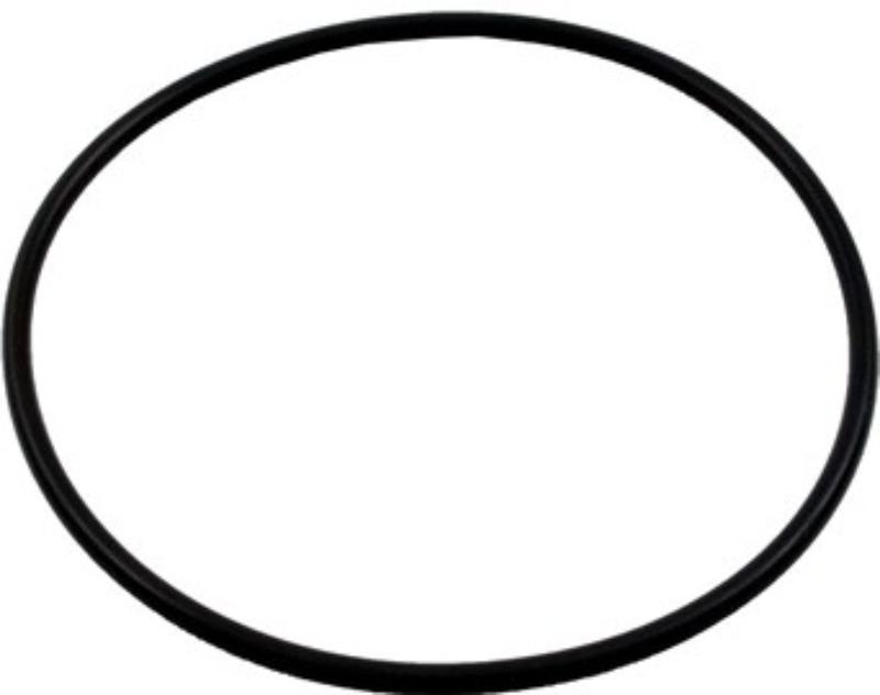 R0745800 Jandy SFTM Series Sand Filter O-Ring, Valve & Tank for SFTM24-2.0