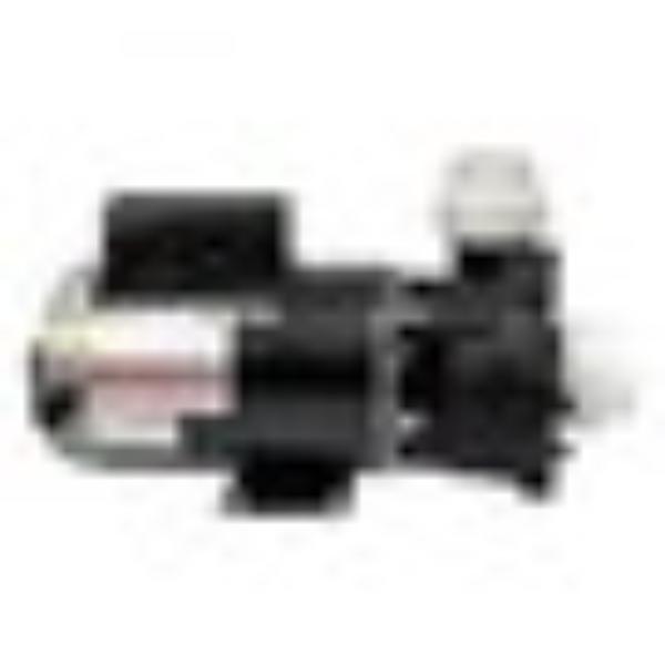 4.0HP 2-Speed Side Discharge Pump - Black - 2 in. - Energy Efficient