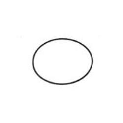 Aquaflo  2 in. Replacement Pump Union O-ring