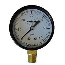 IPG602-4L 0.25 in. Pressure Gauge MPT Bottom