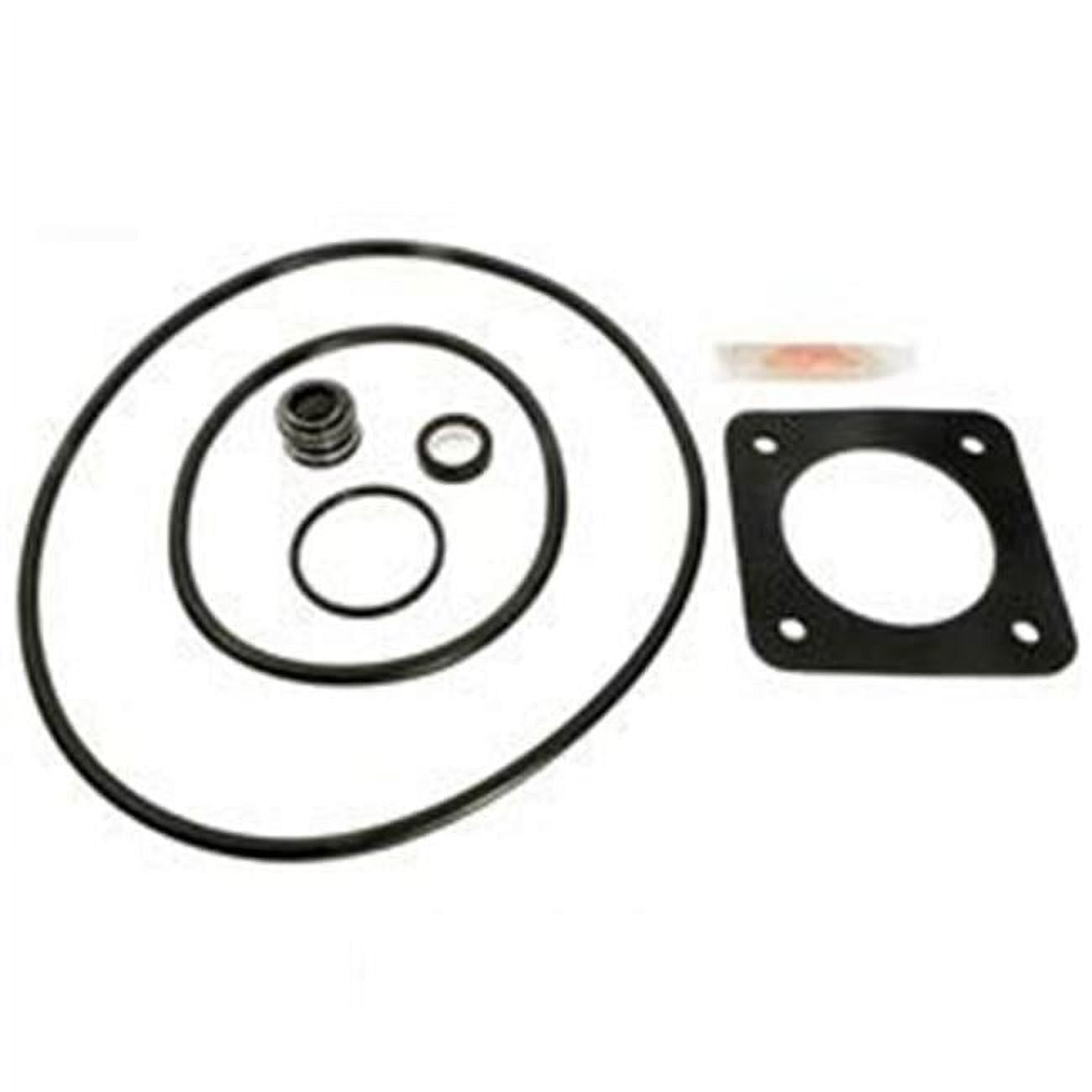 Sta-Rite Dura Glas & Max E-Glas P2RA P2R Repair Kit