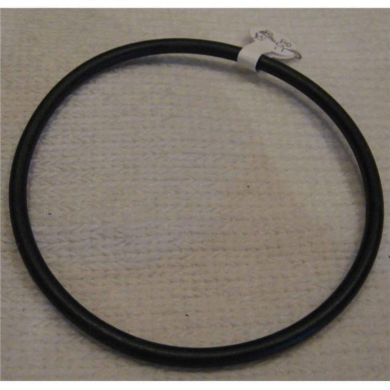 2.5 in. O-Ring Heater & Pump Union