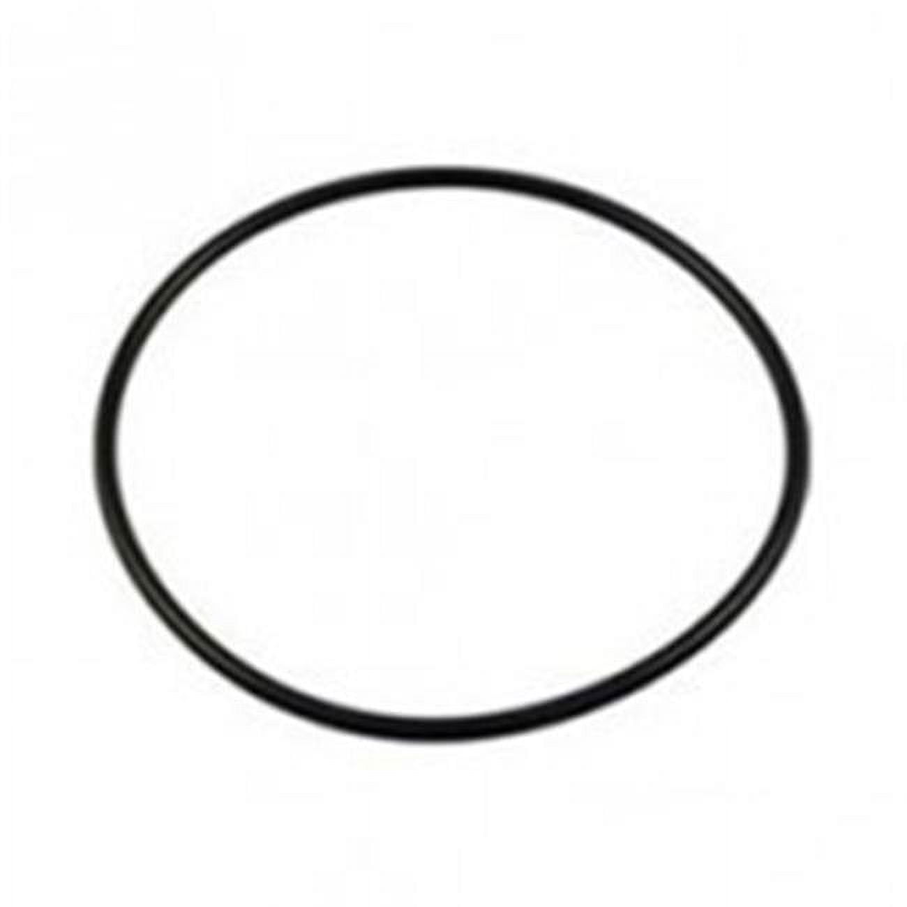 Generic APCO2082 Starite Pump O-Ring