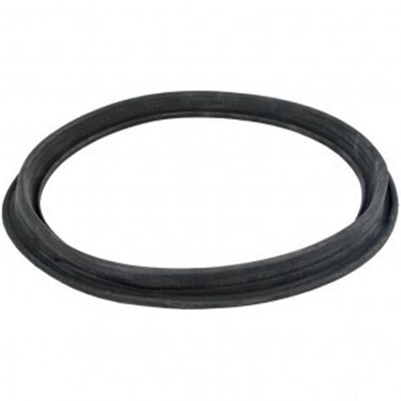 ECX1105 Diaphragm Gasket
