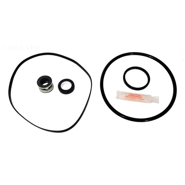 APCK1013A Replacement Super II Pump Repair Kit