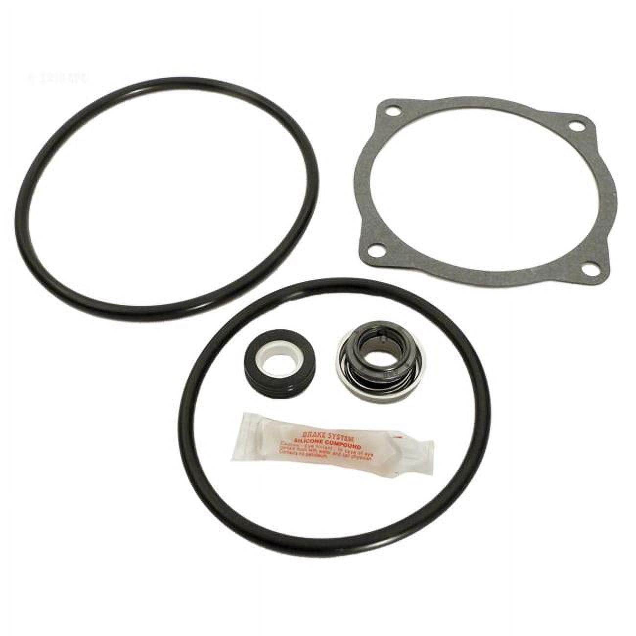 Sta-Rite CF & CF6 Repair Kit