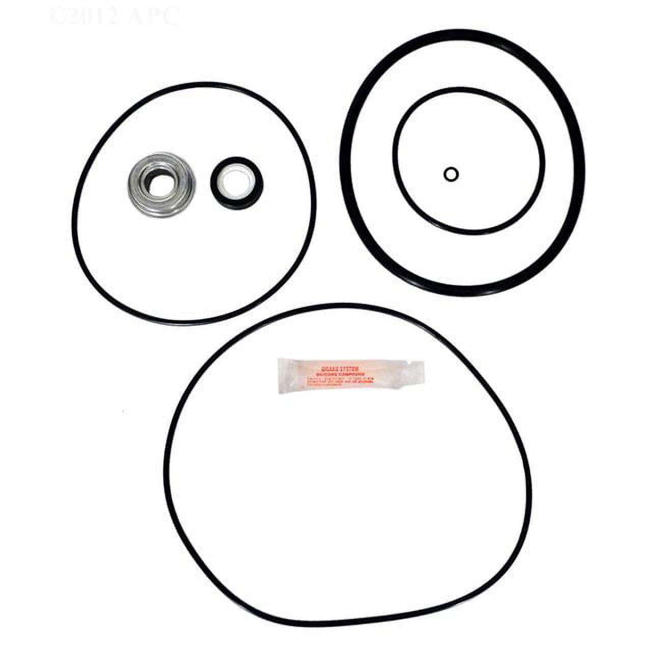 Whisper-Flo Repair Kit for Pool