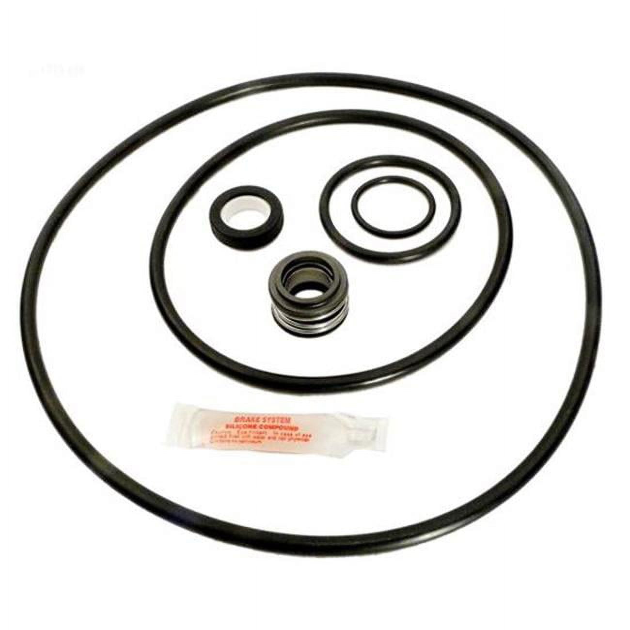 Sta-Rite P4E & P4EA Repair Kit