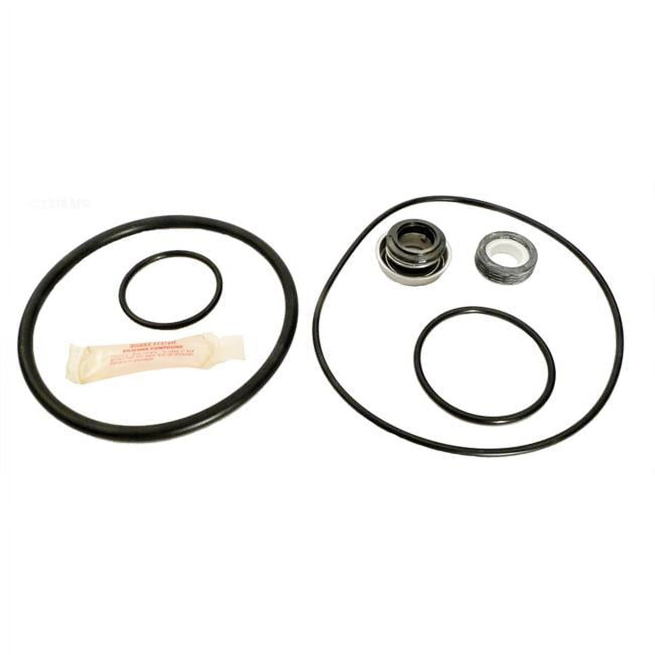 APCK1036 Premier 555 Repair Kit