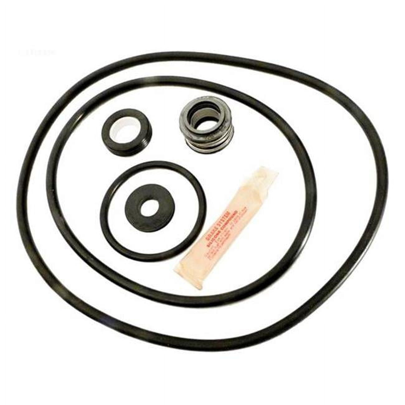 Sta-Rite Dyna-Glas Pump Repair Kit