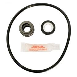 APCK1063 Jacuzzi J, JCM, K & KM Pumps Kit