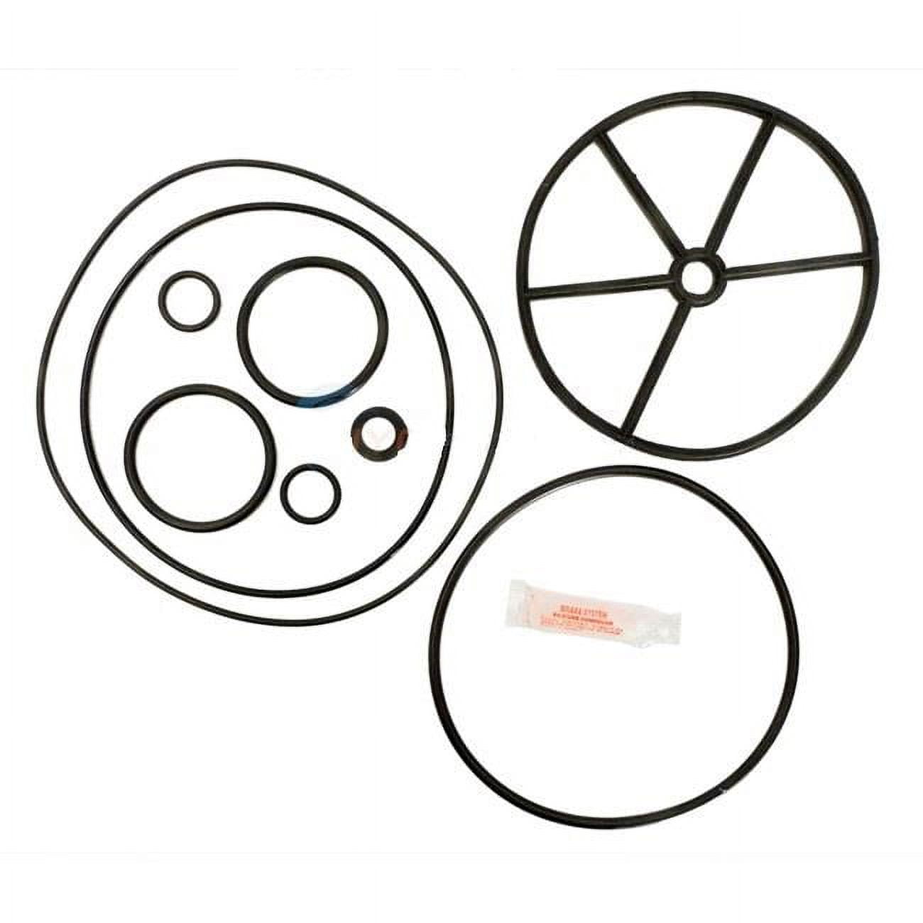 2 in. Pacfab Multiport Valve Kit