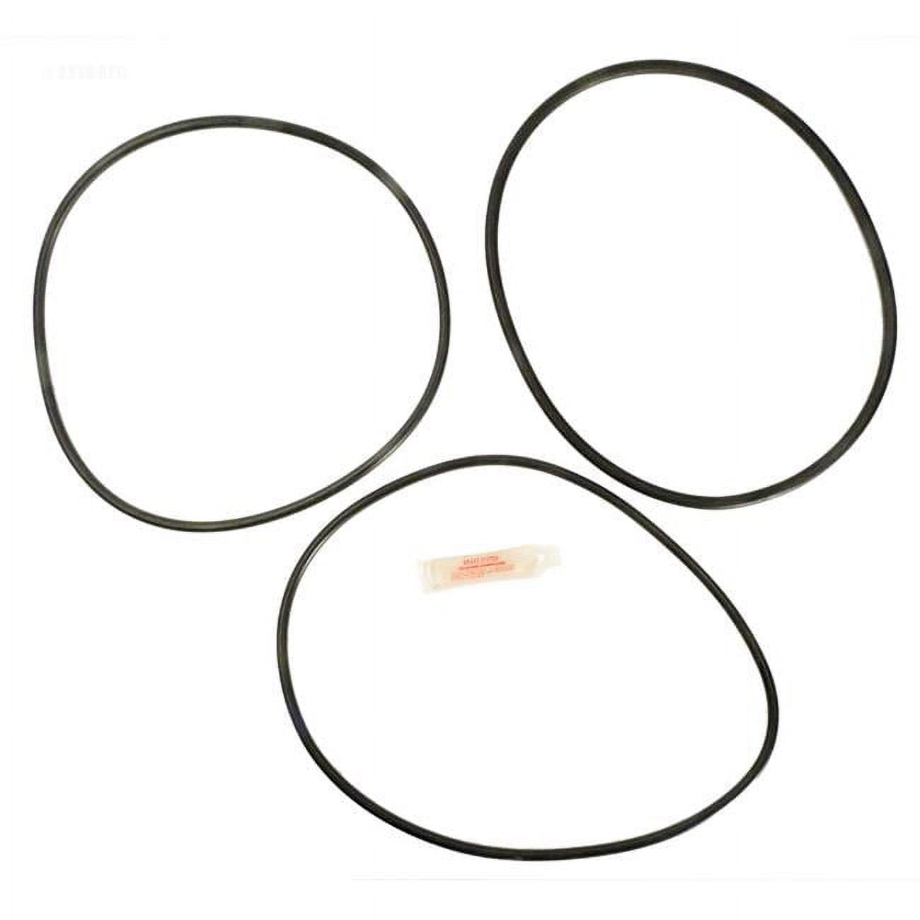 Sta-Rite PTM70 & 100 O-Ring Kit