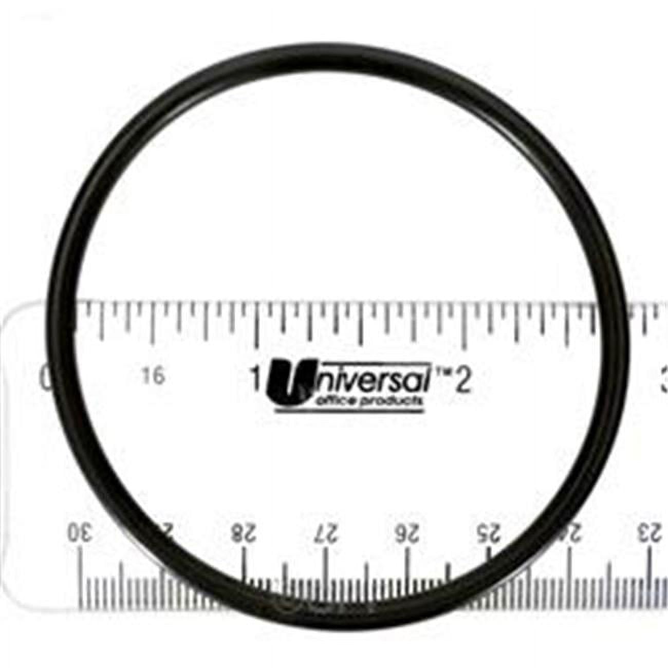 AF92200210 2 in. XP2 XP2E Union Pump O-Ring