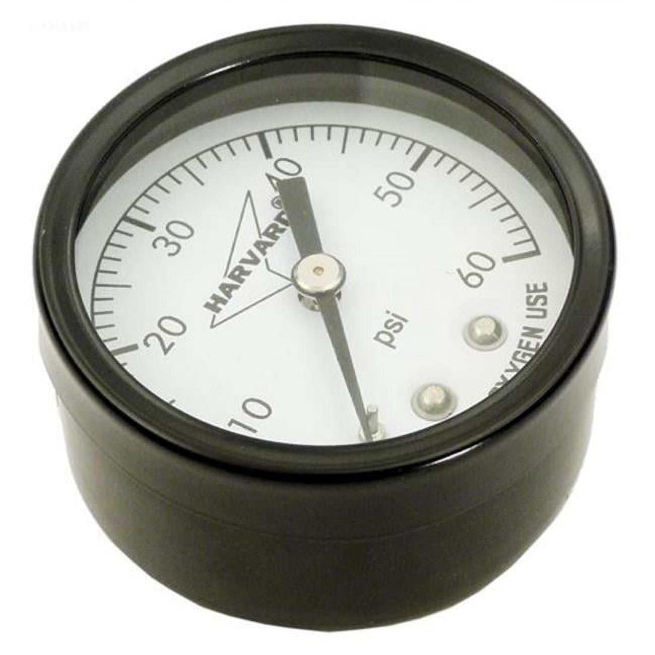 IPG6024B 0.25 in. Pressure Gauge Mpt Back Mount