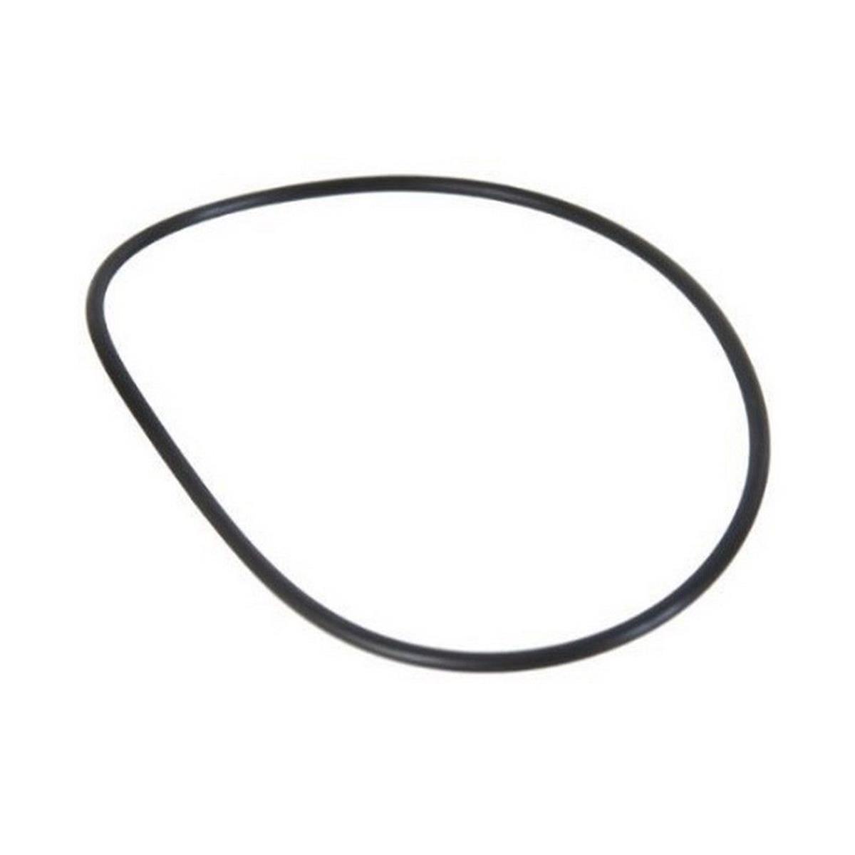 GAM4P6029 Motor & Pump O Ring