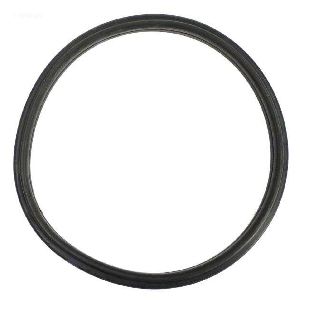 Replacement Rim Gasket