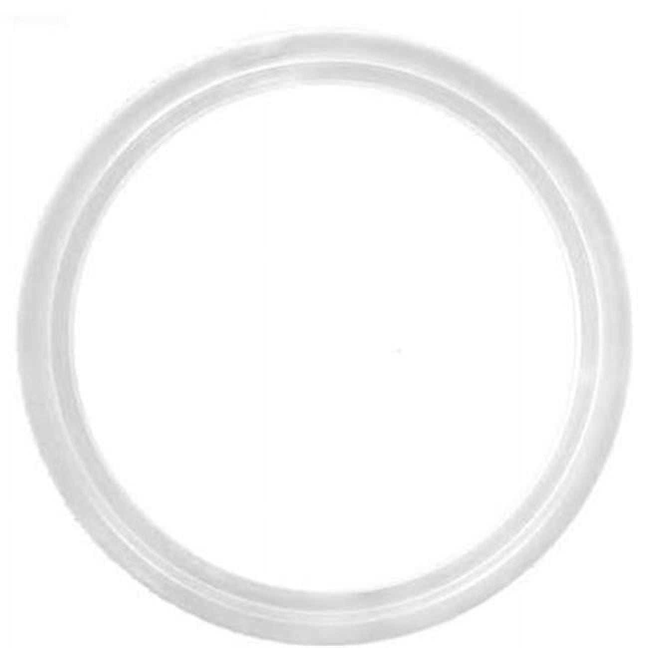 AFII Gasket for Pool - Clear