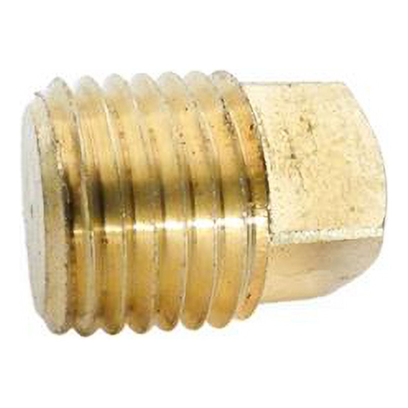 0.25 in. Mpt Brass Square Head Plug