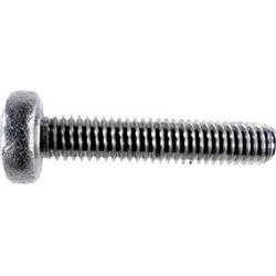 M6 x 30 mm Stainless Screw